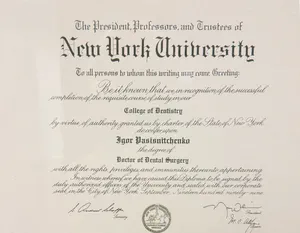 Dr. Igor Pasisnitchenko diploma 2